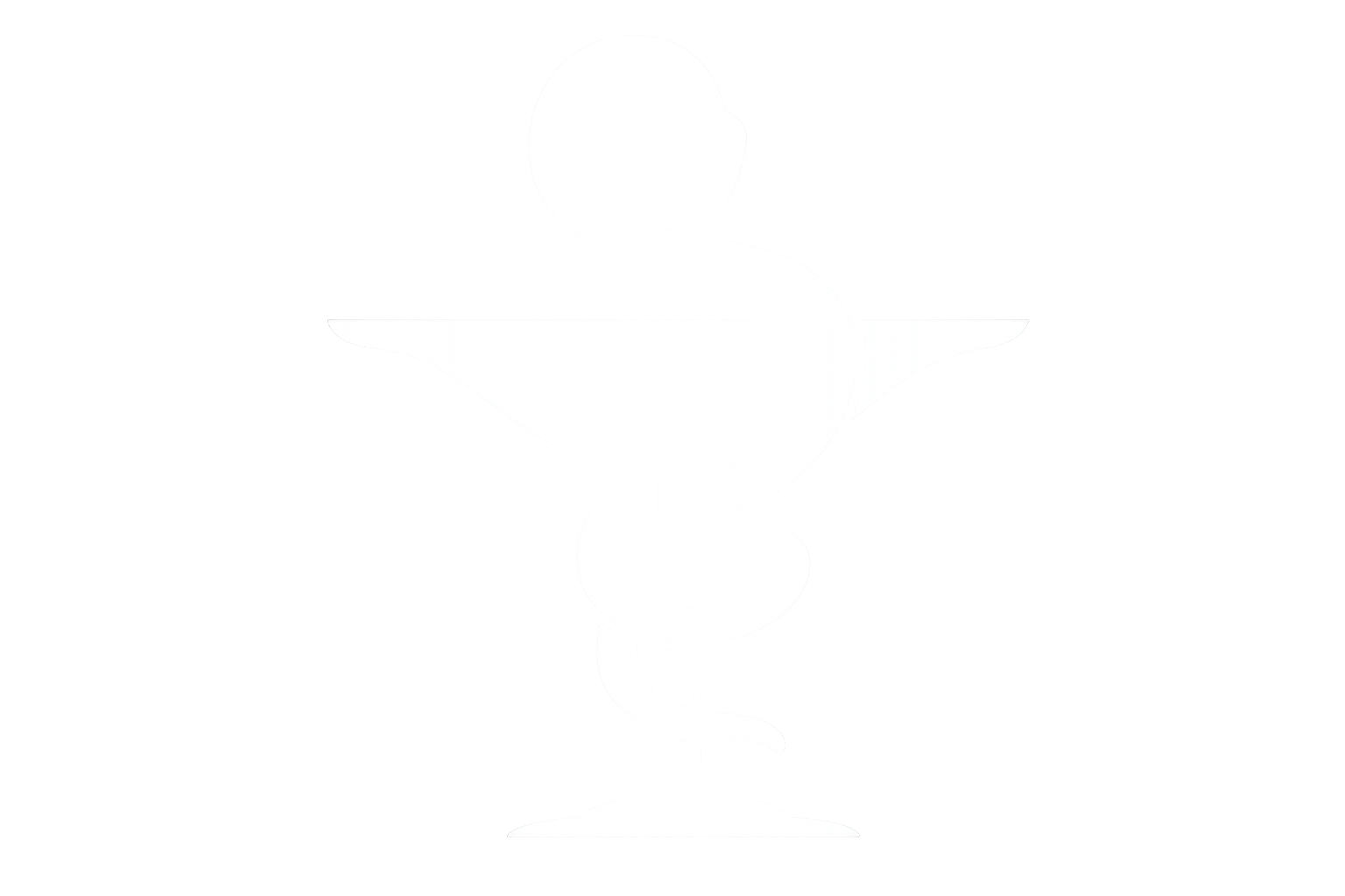Pharmacy Icon